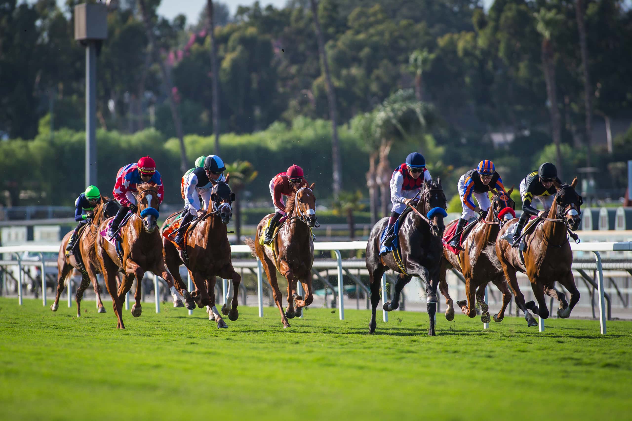Regulated sports betting environment
